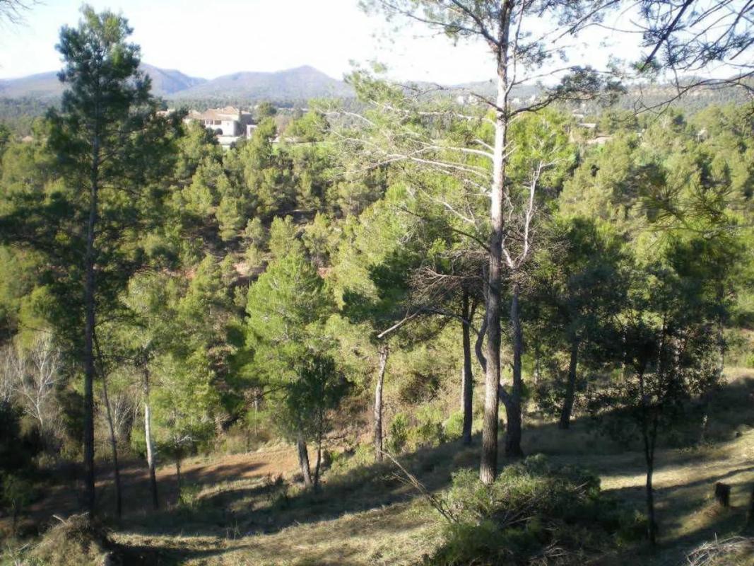 Terreno en venta en Castellnou de Bages, Barcelona photo 3