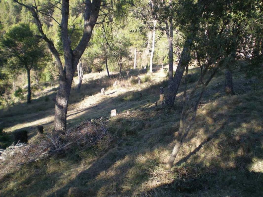 Terreno en venta en Castellnou de Bages, Barcelona photo 4