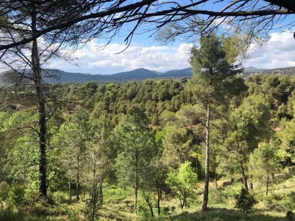 Terreno en Castellnou de Bages photo 4