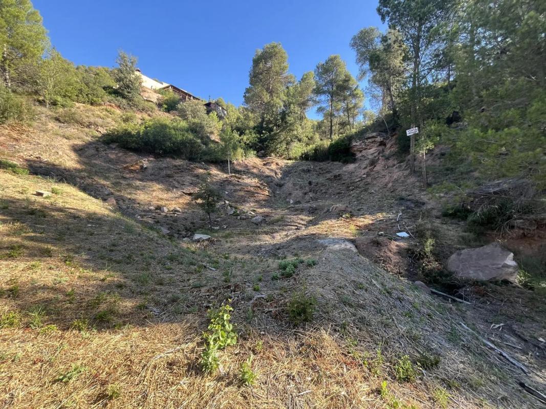 Terreno en venta en Fonollosa, Barcelona photo 4