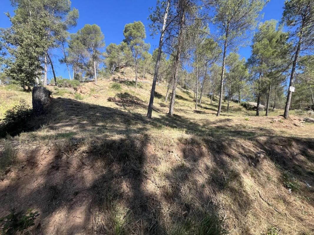 Terreno en venta en Fonollosa, Barcelona photo 2