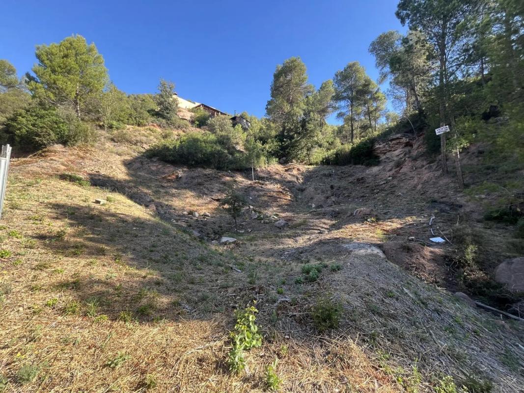 Terreno en venta en Fonollosa, Barcelona photo 5