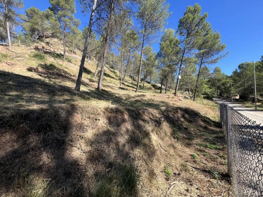 Terreno en venta en Fonollosa, Barcelona photo 4