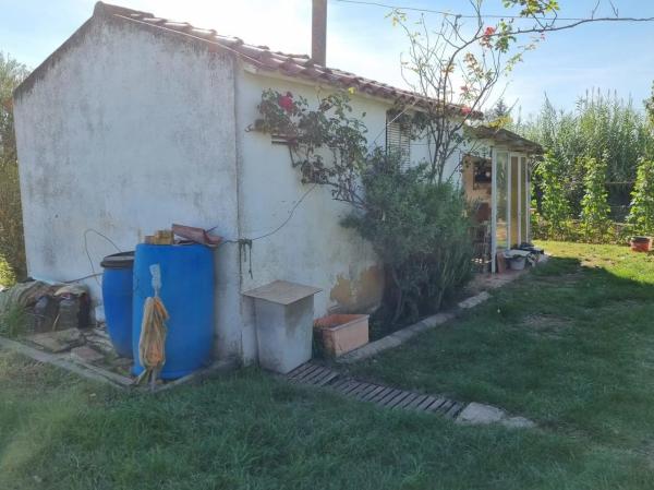 Terreno en camino del Grau photo 1