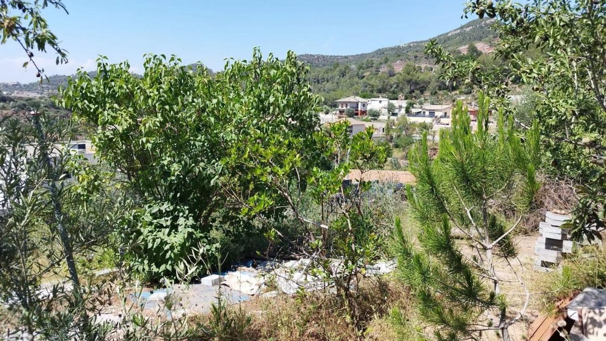 Land for sale in Castellbell and El Vilar, Barcelona photo 2