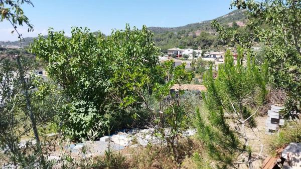 Terreno en calle Faraó, 1 thumbnail 1