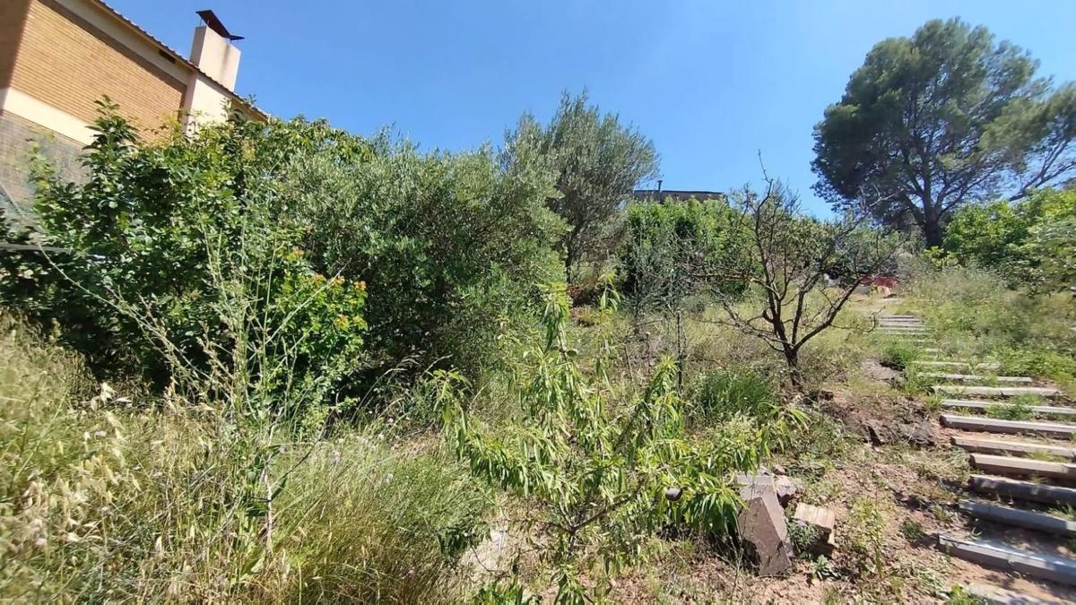 Land for sale in Castellbell and El Vilar, Barcelona photo 5