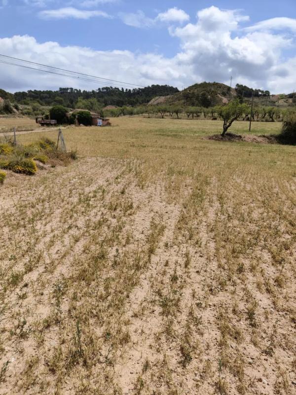 Terreno en venta en Castellfollit del Boix, Barcelona photo 3