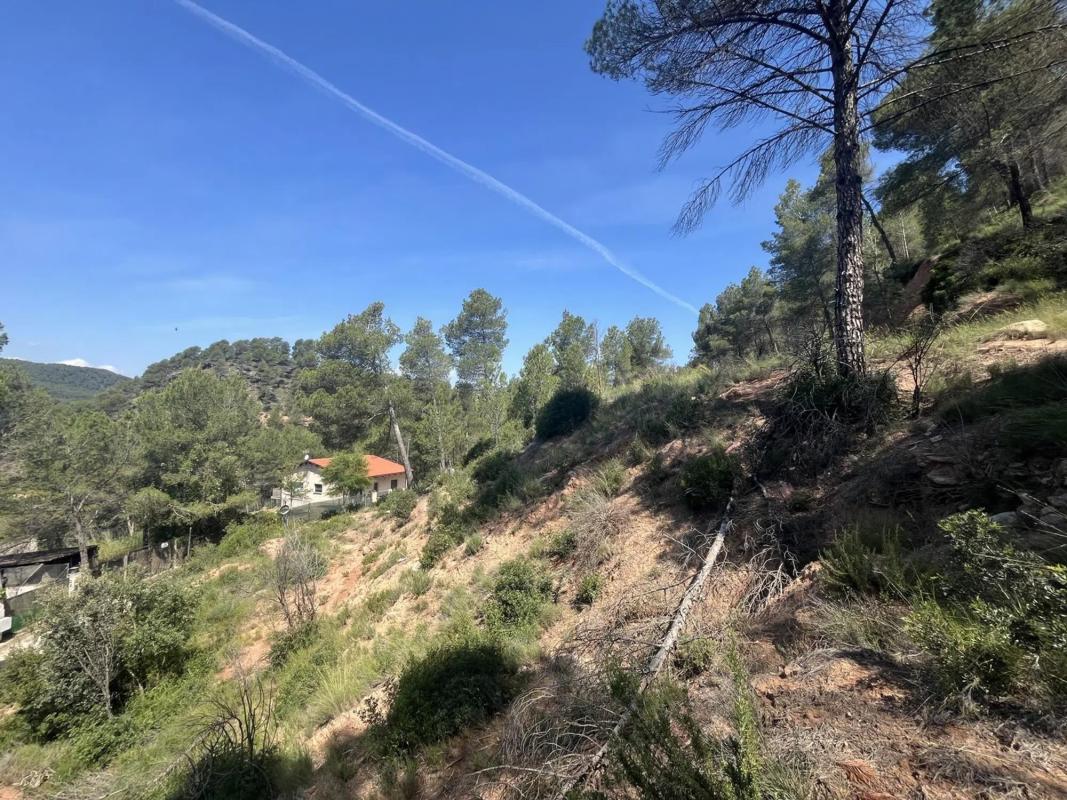 Land for sale in Fonollosa, Barcelona photo 3