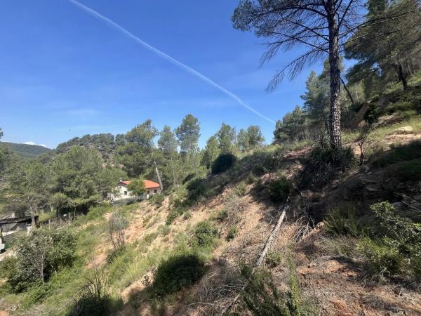 Terreno en avenida de las Torres de Fals, 3 thumbnail 2