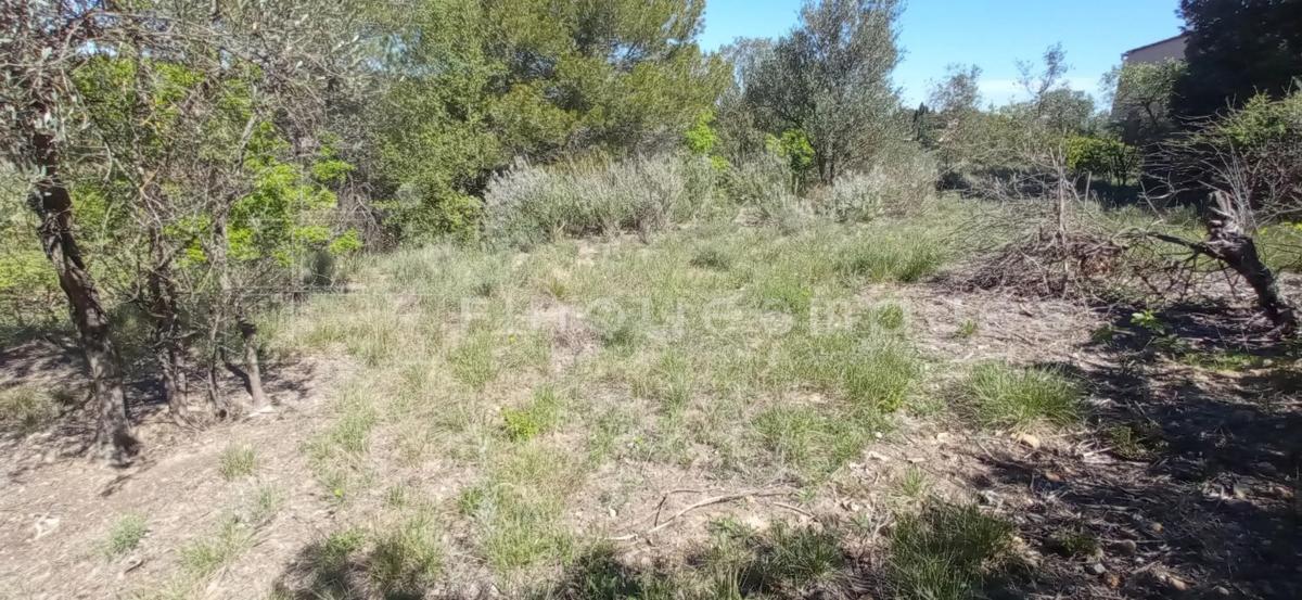 Terreno en venta en Castellbell I El Vilar, Barcelona photo 1