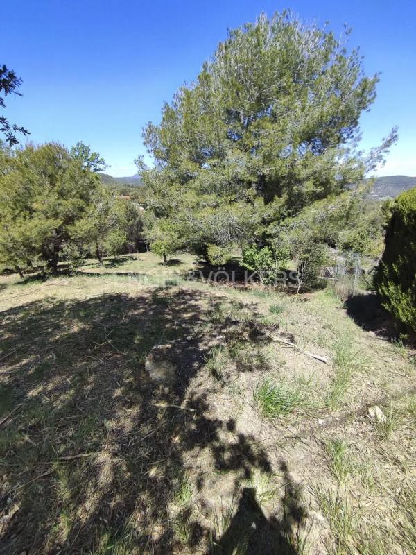 Land for sale in Castellbell and El Vilar, Barcelona photo 4