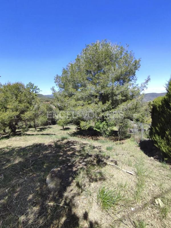 Land for sale in Castellbell and El Vilar, Barcelona photo 5
