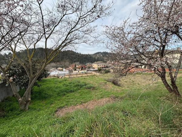 Terreno en calle 4, 431 photo 4