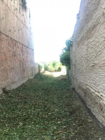 Terreno en avenida de Tudela photo 4