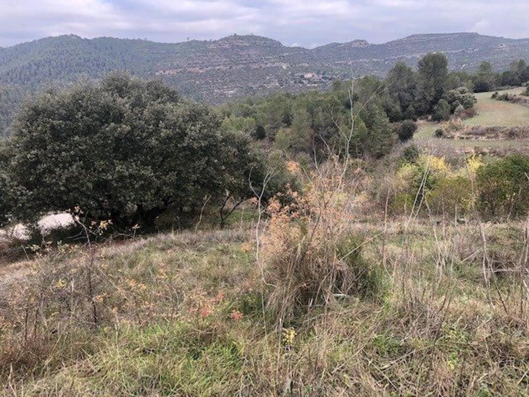 Terreno en venta en El Pont de Vilomara i Rocafort, Barcelona photo 2
