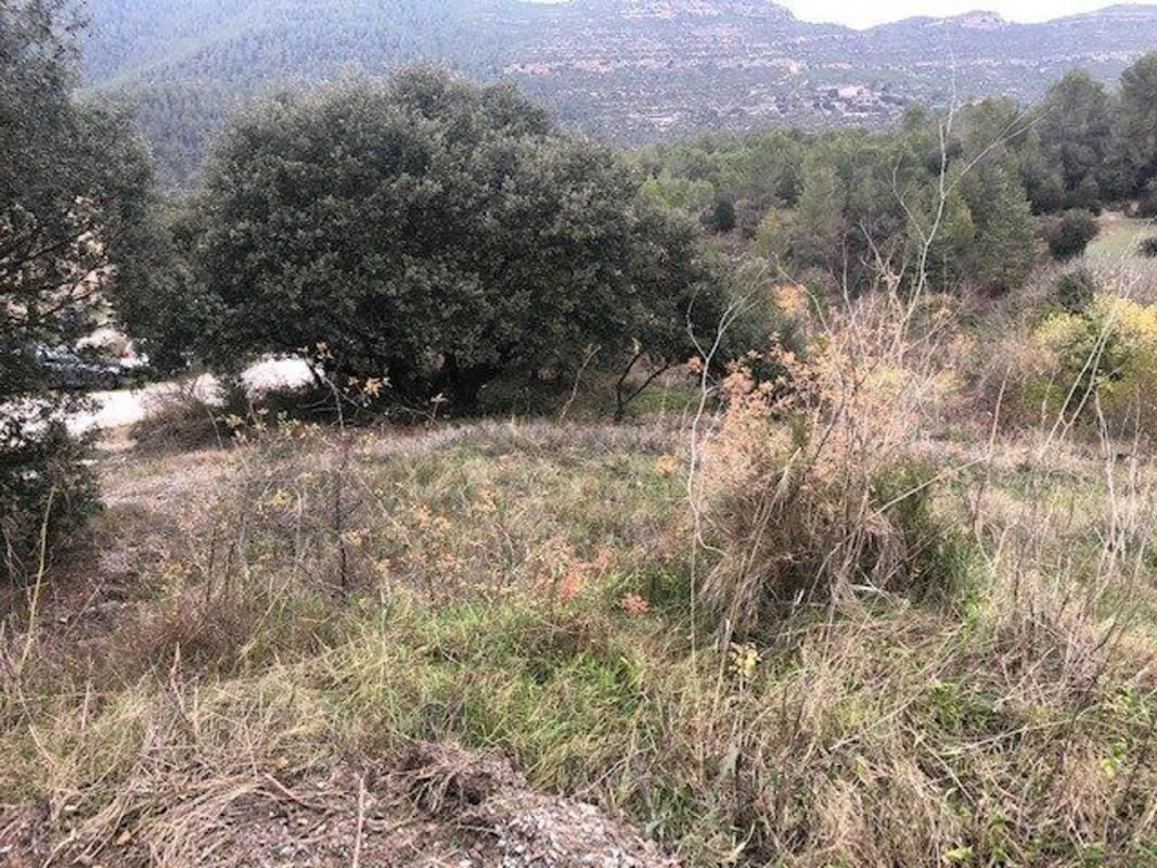 Terreno en venta en El Pont de Vilomara i Rocafort, Barcelona photo 4