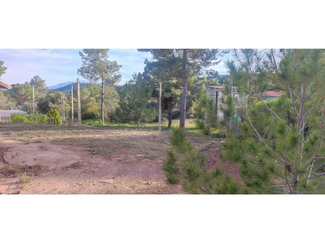 Land for sale in Castellnou de Bages, Barcelona photo 1