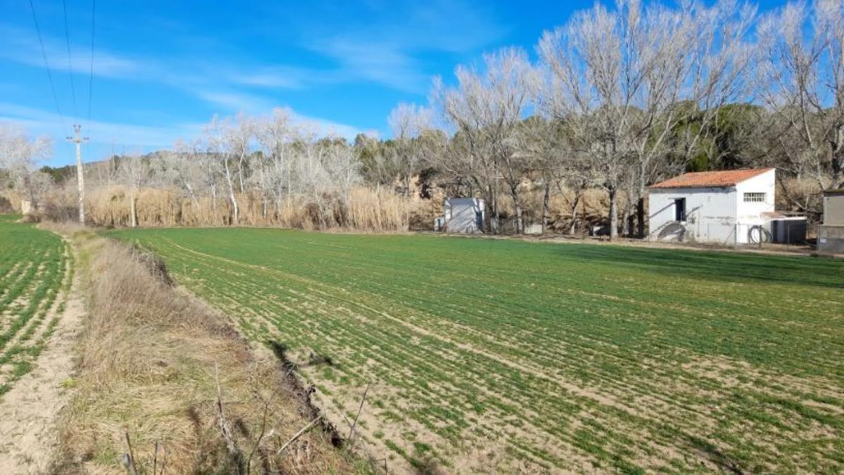 Terreno en venta en Castellgalí, Barcelona photo 2