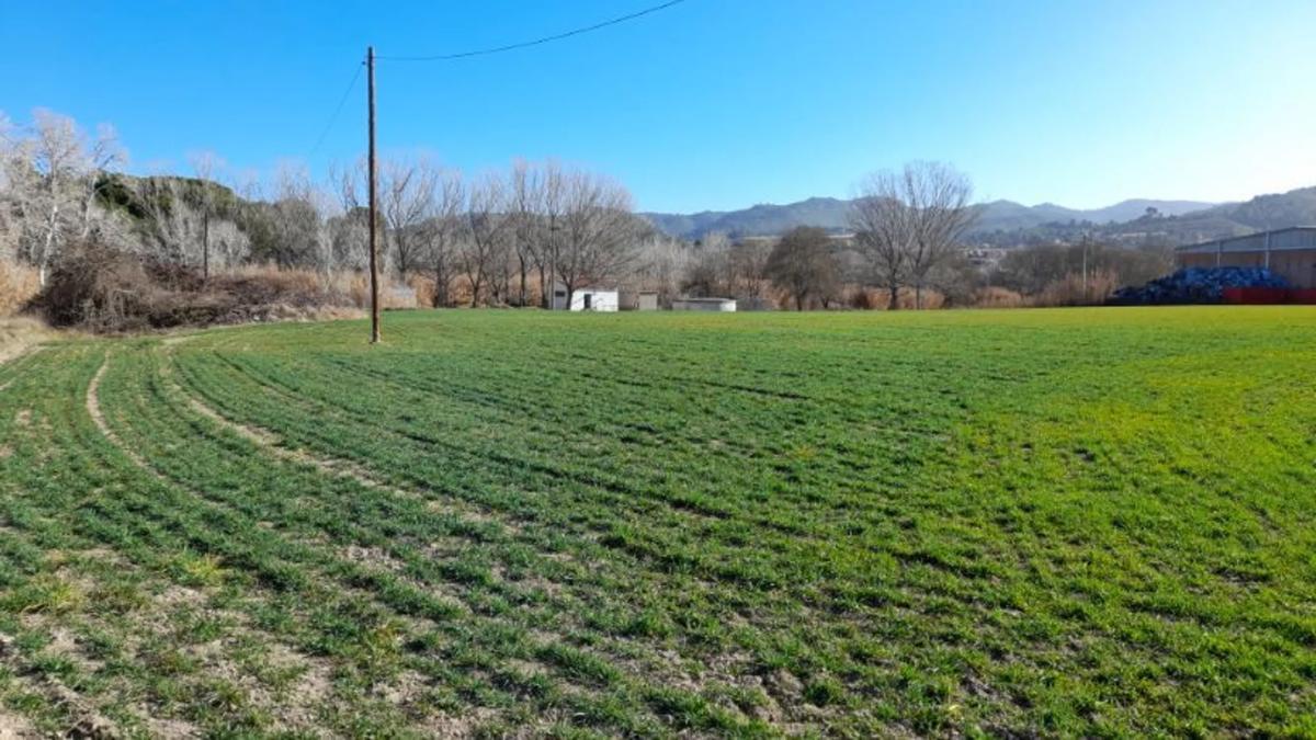 Terreno en venta en Castellgalí, Barcelona photo 4