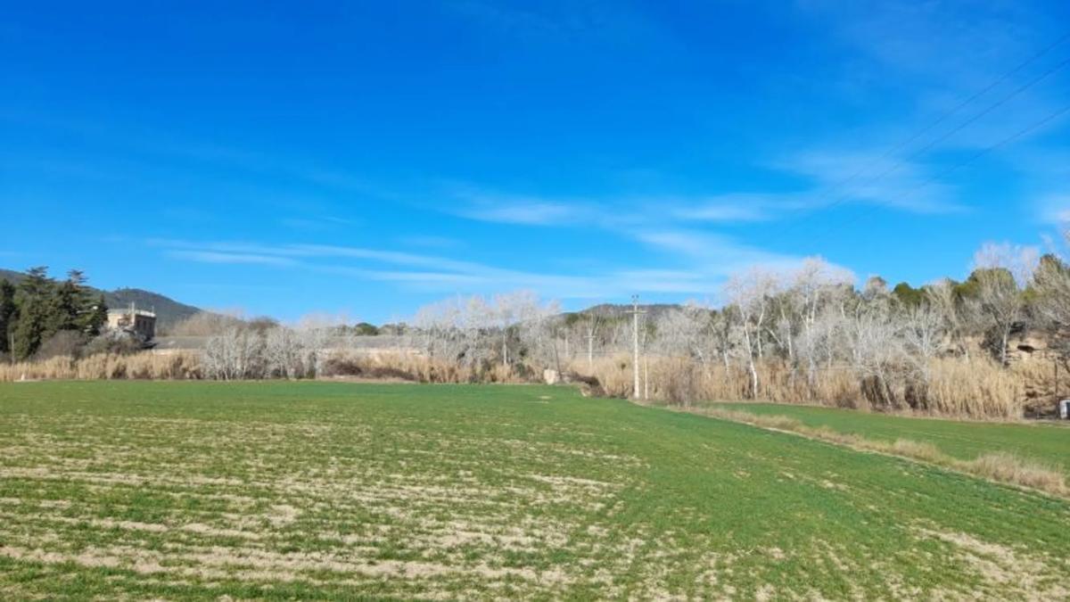 Terreno en venta en Castellgalí, Barcelona photo 5