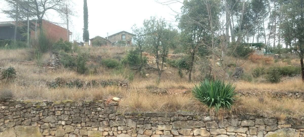 Terreno en venta en Castellnou de Bages, Barcelona photo 2