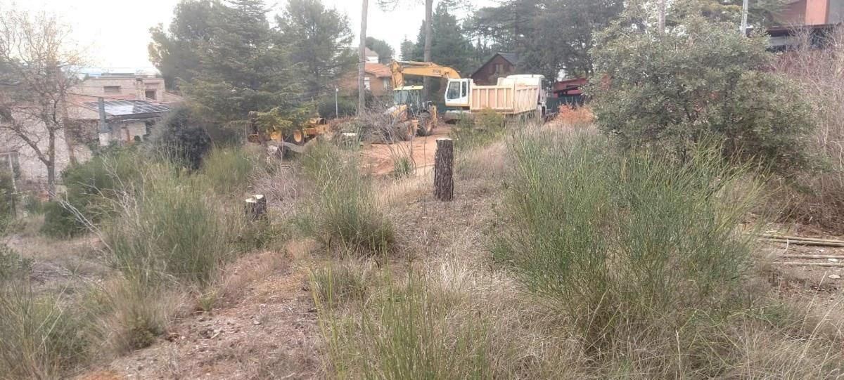 Terreno en venta en Castellnou de Bages, Barcelona photo 3