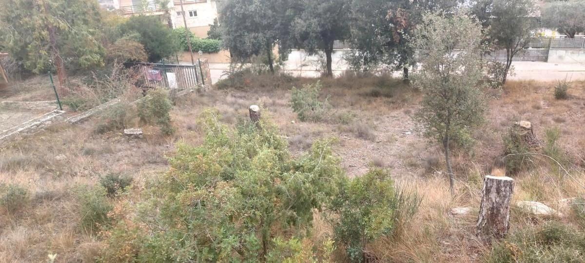Terreno en venta en Castellnou de Bages, Barcelona photo 4