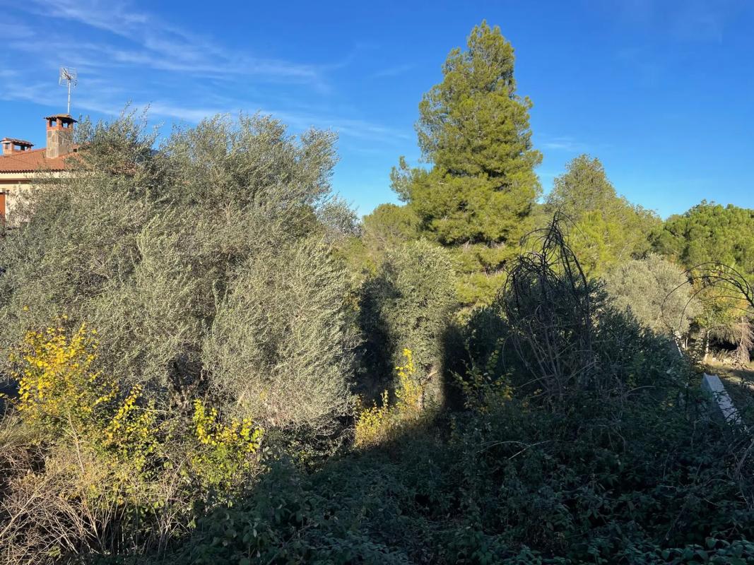 Terreno en venta en Castellgalí, Barcelona photo 2