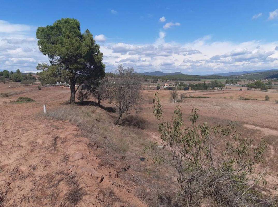 Land for sale in Sant Fruitós de Bages, Barcelona photo 3