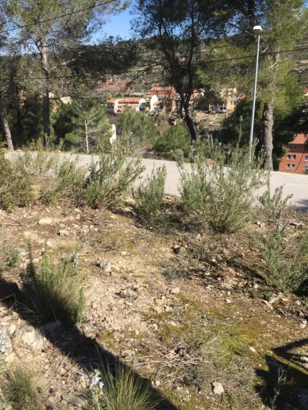 Terreno en venta en Monistrol de Montserrat, Barcelona photo 5