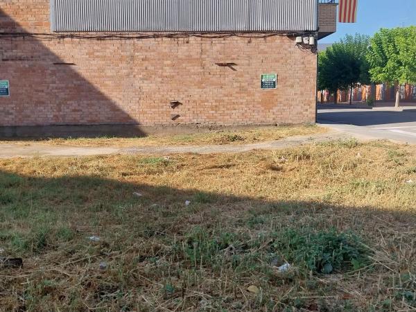 Terreno en jesus photo 2