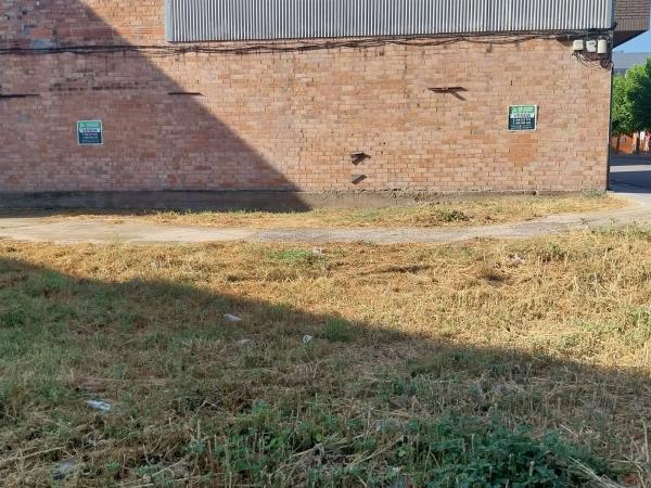 Terreno en jesus photo 3