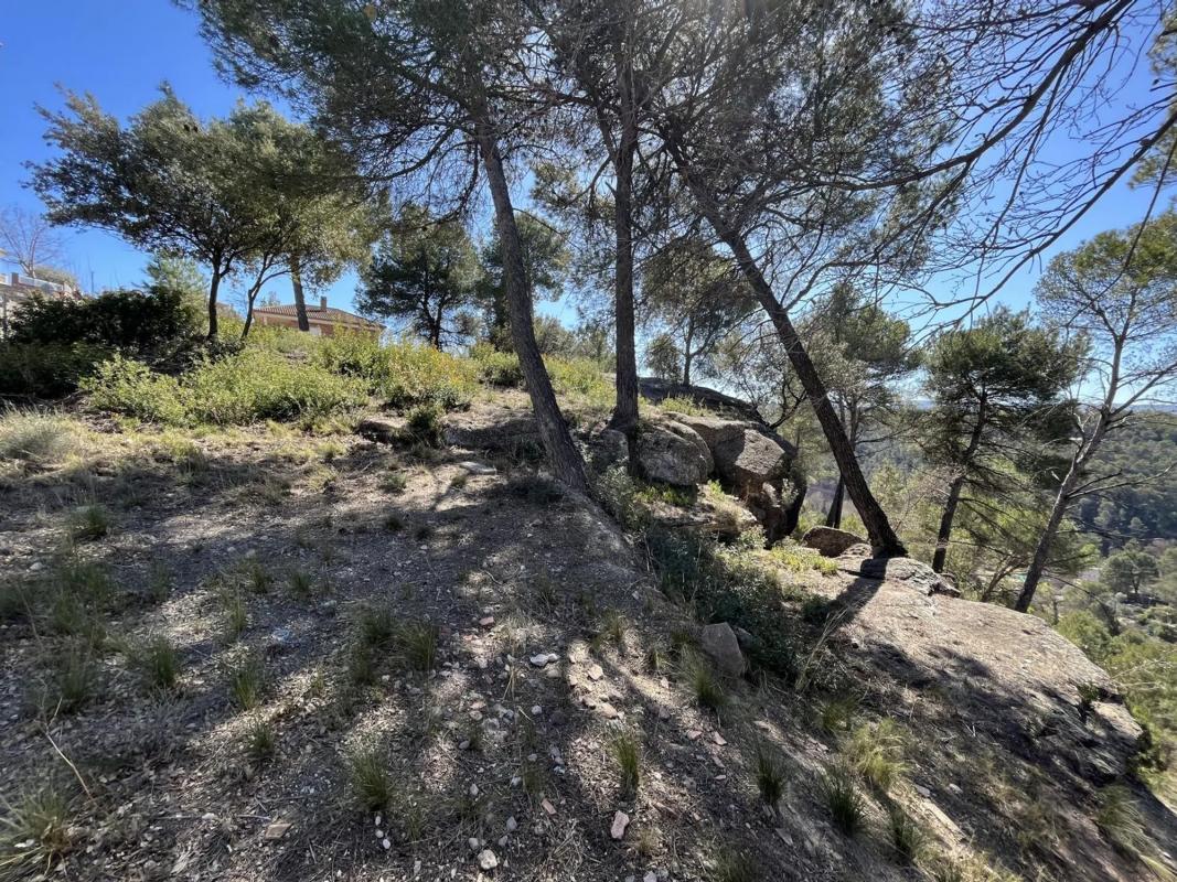 Terreno en venta en Fonollosa, Barcelona photo 3