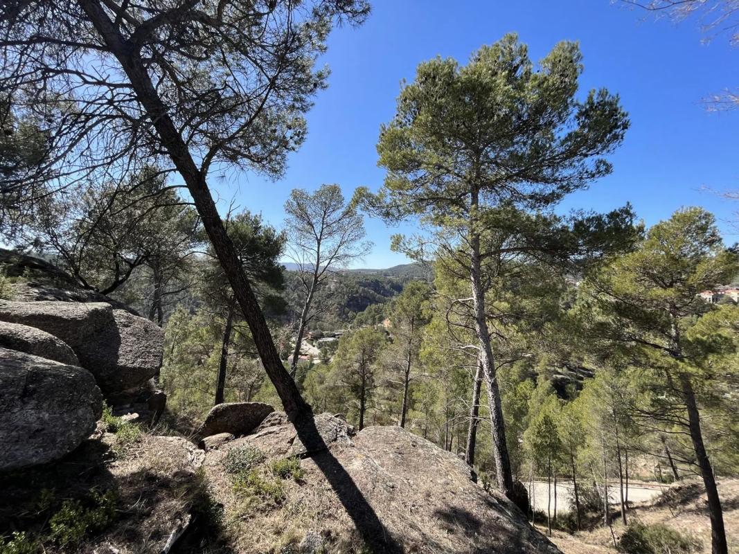 Terreno en venta en Fonollosa, Barcelona photo 5