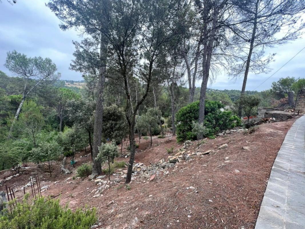 Terreno en venta en Castellnou de Bages, Barcelona photo 2