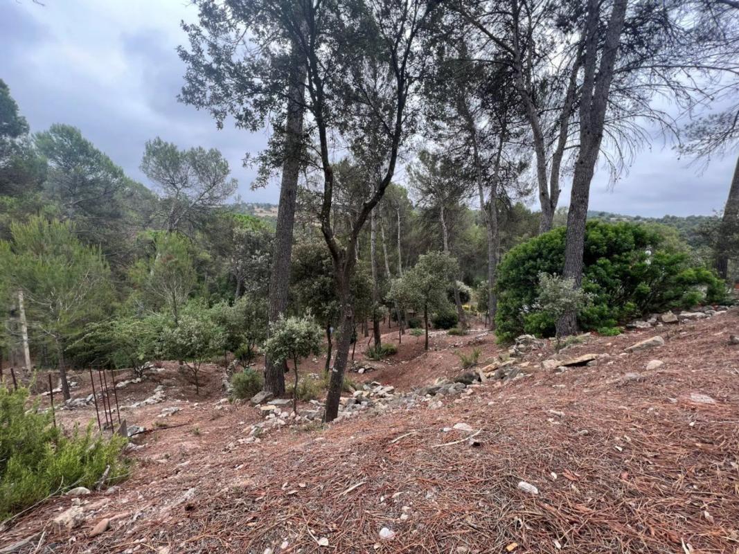 Terreno en venta en Castellnou de Bages, Barcelona photo 5