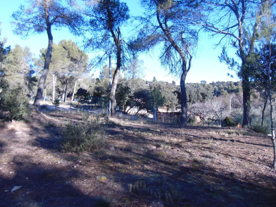 Działka na sprzedaż w Castellnou de Bages, Barcelona photo 4