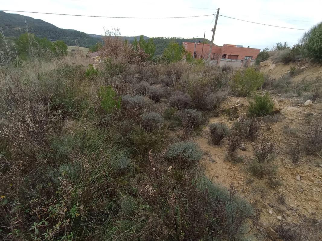 Działka na sprzedaż w Castellbell i el Vilar, Barcelona photo 1