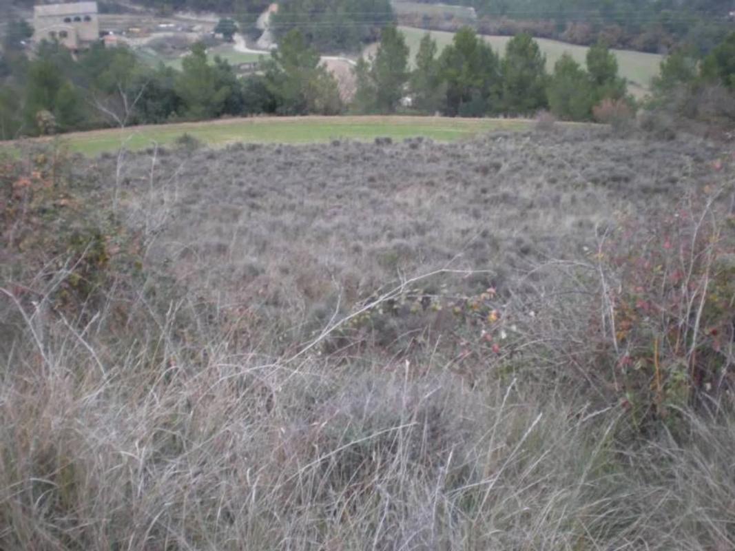 Terreno en venta en Sant Vicenç de Castellet, Barcelona photo 1