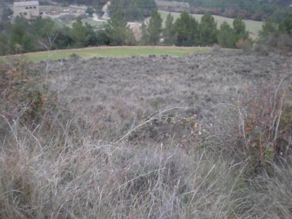 Terreno en Sant Vicenç de Castellet photo 1