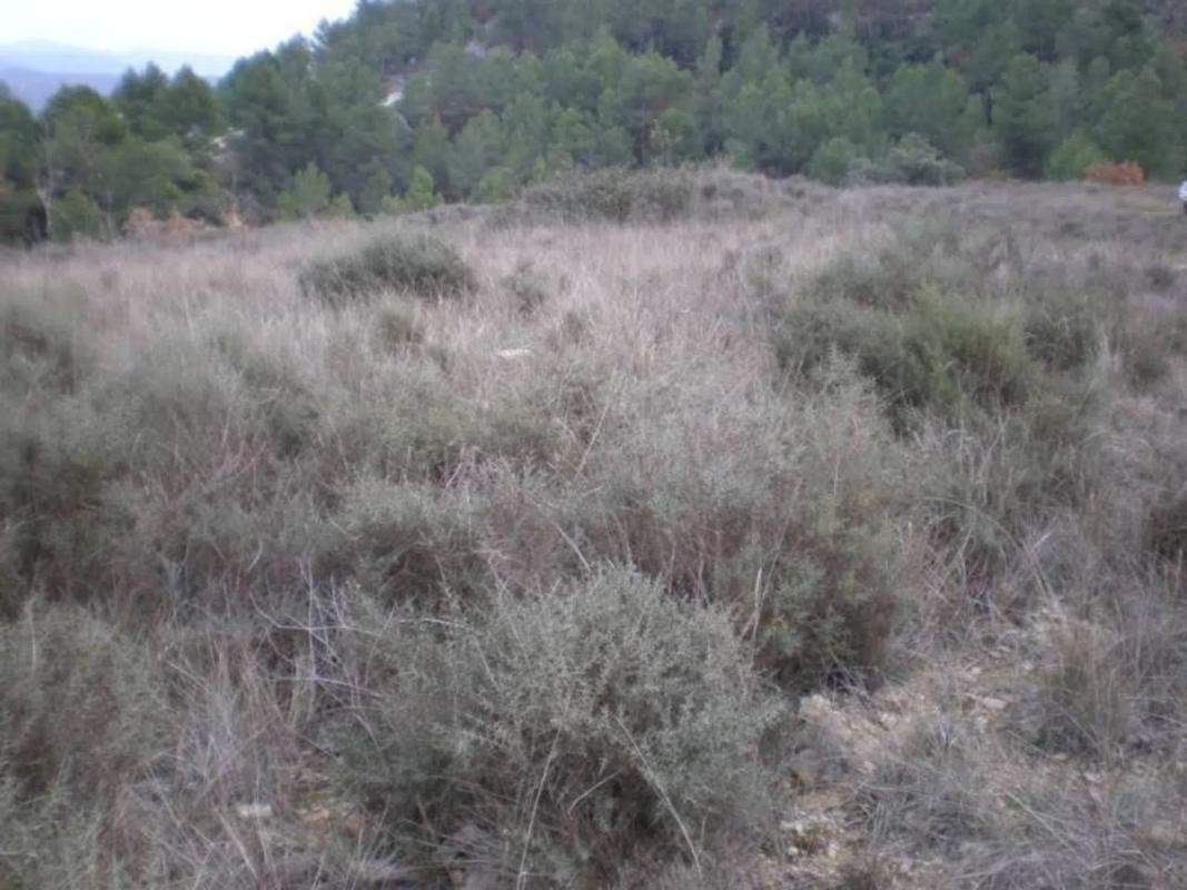 Terreno en venta en Sant Vicenç de Castellet, Barcelona photo 2