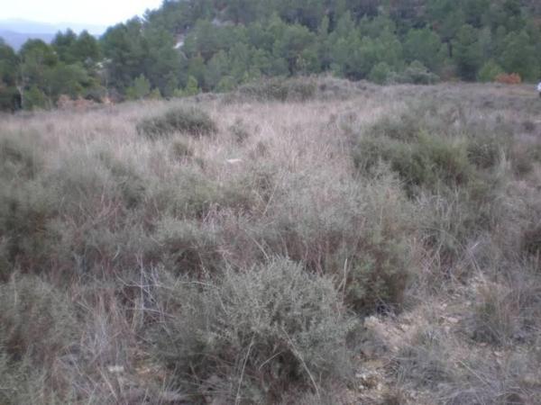 Terreno en Sant Vicenç de Castellet photo 2