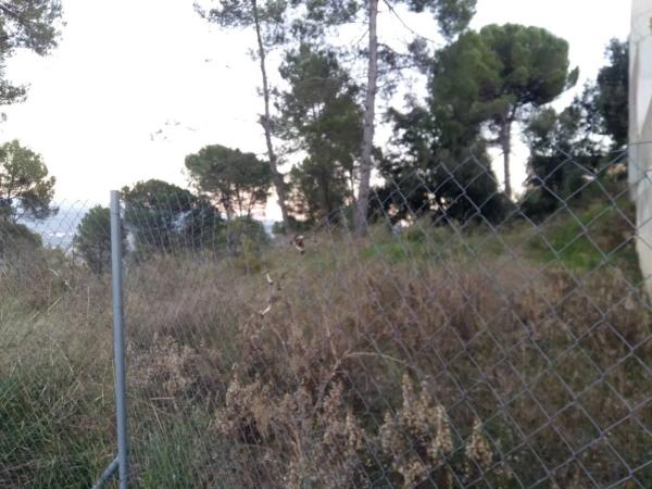 Terreno en Castellgalí photo 1