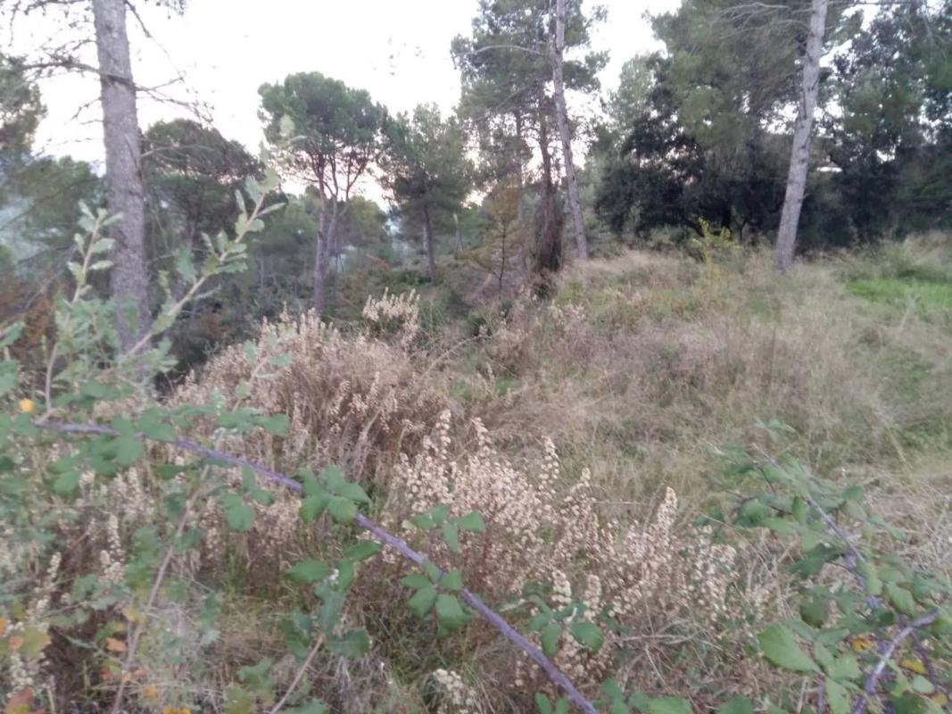 Terreno en venta en Castellgalí, Barcelona photo 3