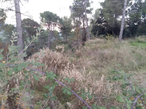 Terreno en Castellgalí thumbnail 2