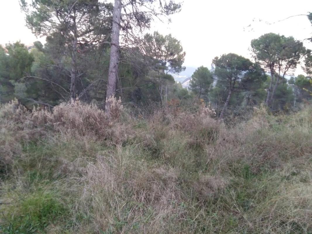 Terreno en venta en Castellgalí, Barcelona photo 5