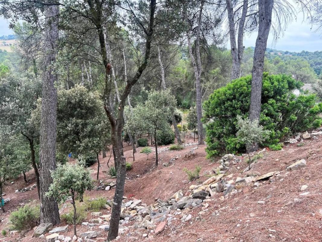 Terreno en venta en Castellnou de Bages, Barcelona photo 1
