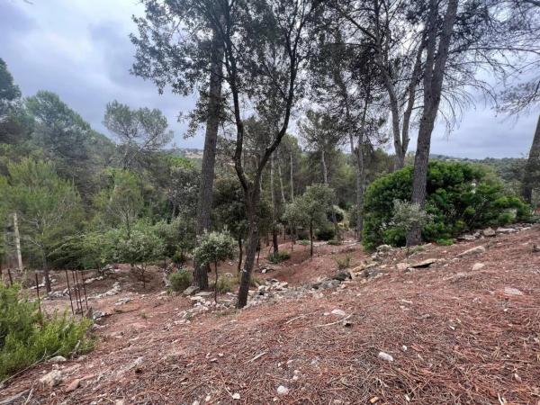 Terreno en Castellnou de Bages thumbnail 1