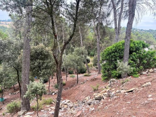 Terreno en Castellnou de Bages photo 4